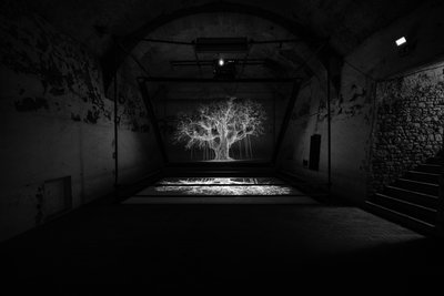 Albion, 2017 (Proiettore, lettore multimediale, impalcatura, pellicola trasparente, legno, vernice, specchio, accessori per lo stretching) da Mat Collishaw
