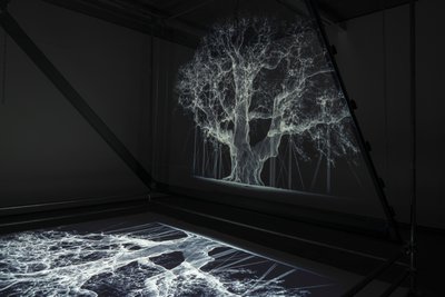 Albion, 2017 (Proiettore, lettore multimediale, impalcatura, pellicola trasparente, legno, vernice, specchio, accessori per lo stretching) da Mat Collishaw