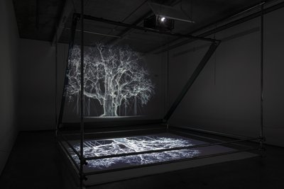 Albion, 2017 (Proiettore, lettore multimediale, impalcatura, pellicola trasparente, legno, vernice, specchio, accessori per lo stretching) da Mat Collishaw