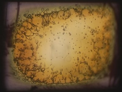 Barbarossa, 2002 (videoproiettore e proiettore di diapositive simulate) da Mat Collishaw