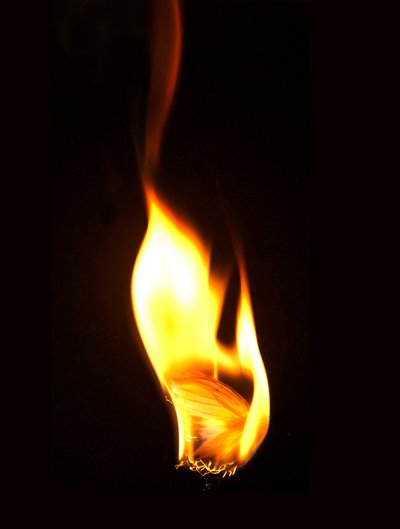 Burning Butterfly 16, 2013 (stampa Lambda) da Mat Collishaw
