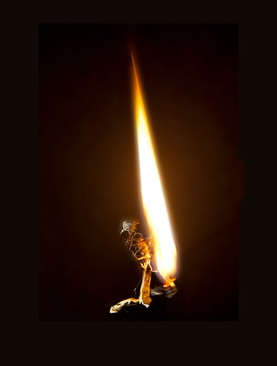 Burning Butterfly 8, 2013 (stampa Lambda) da Mat Collishaw