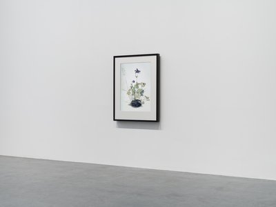 Columbine, 2018 (cornice in legno, bordo, schermo LCD, ventilatore e lettore multimediale) da Mat Collishaw