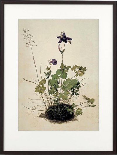 Columbine, 2018 (cornice in legno, bordo, schermo LCD, ventilatore e lettore multimediale) da Mat Collishaw
