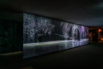 Ecolocazione, 2021 (proiezione video a 3 canali su rete di polipropilene) da Mat Collishaw
