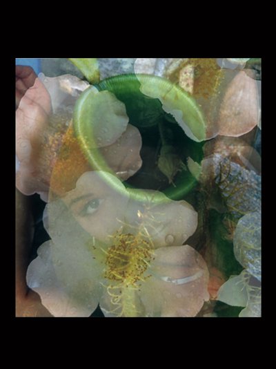 Carnefici 2 da Mat Collishaw