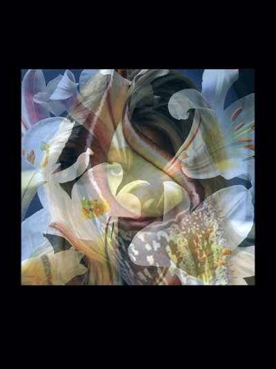 Carnefici 3 da Mat Collishaw