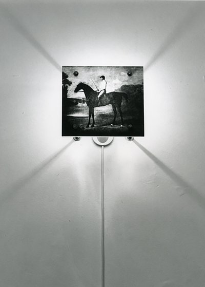 Cavalli Stubbs da Mat Collishaw