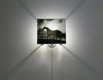 Cavalli Stubbs da Mat Collishaw