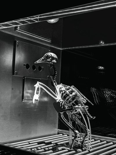 The Machine Zone, 2019 (Acciaio, alluminio, servomotori) da Mat Collishaw