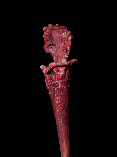 La Musa Venale, Fenside, 2012 (resina, vernice a smalto, legno, vetro, acciaio) da Mat Collishaw