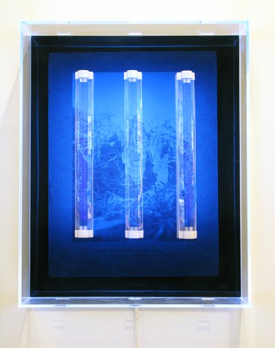 UV Garden, Fairy, Sunbath, Elves, Etc., 2008 (serigrafia su acrilico, luce UV e apparecchi di illuminazione) da Mat Collishaw