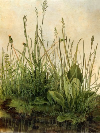 Whispering Weeds, 2011 (cornice in legno, bordo, schermo LCD, ventola e disco rigido) da Mat Collishaw