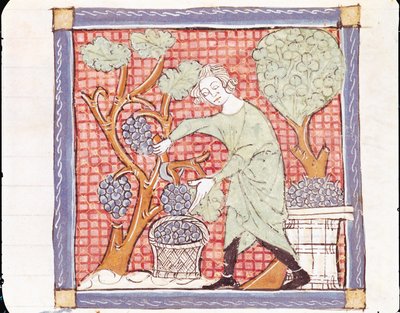 Settembre: Il raccolto da Matfre Ermengaut