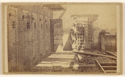 [Gabbie dove venivano tenute le persone schiavizzate]. da Mathew B. Brady