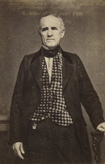 Sam Houston, c.1860-65 (stampa all