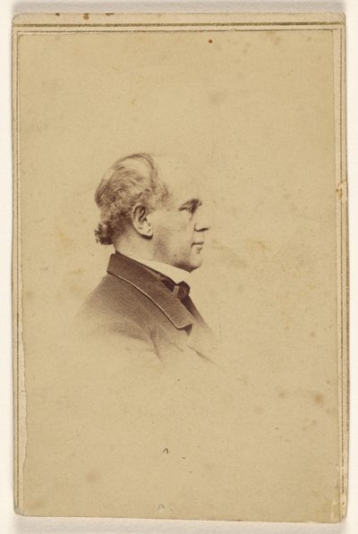 [Uomo non identificato di profilo, stampato in stile vignetta] da Mathew B. Brady