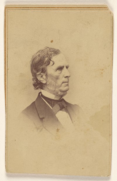 Uomo non identificato con barba brizzolata, senza baffi, di profilo, stampato in stile vignetta da Mathew B. Brady