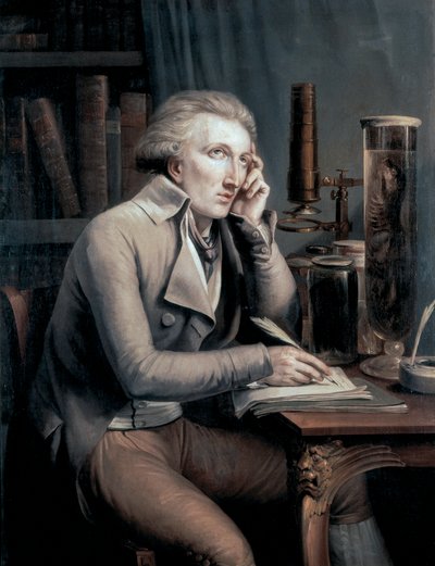Ritratto di Georges Leopold Cuvier da Mathieu Ignace van Bree