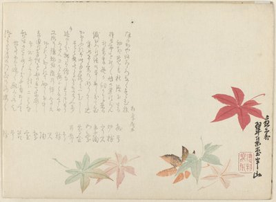 Acero giapponese da Matsukawa Hanzan