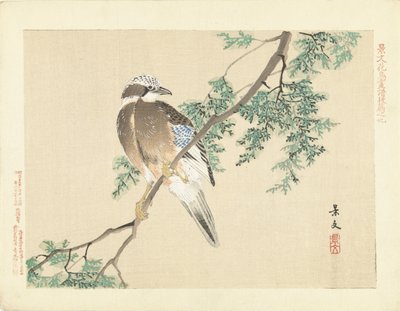 Ghiandaia su un ramo da Matsumura Keibun