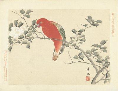 Pappagallo rosso su ramo con fiori bianchi da Matsumura Keibun