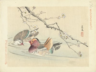 Due anatre da Matsumura Keibun