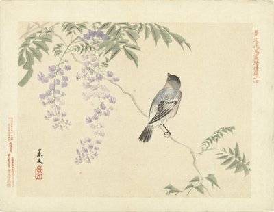 Uccello su ramo di glicine (serie: Schizzi di fiori e uccelli di Keibun - parte tre) da Matsumura Keibun