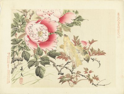 Uccelli e peonie da Matsumura Keibun