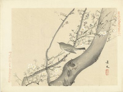 Uccellino su albero con fiori bianchi da Matsumura Keibun
