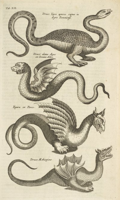 Tab XII, Creature mitiche, draghi, Illustrazione da 
