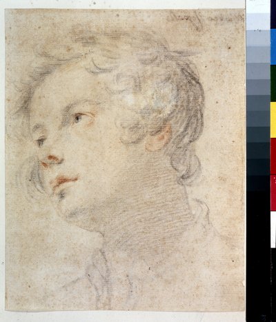 Testa di ragazzo da Matteo Rosselli