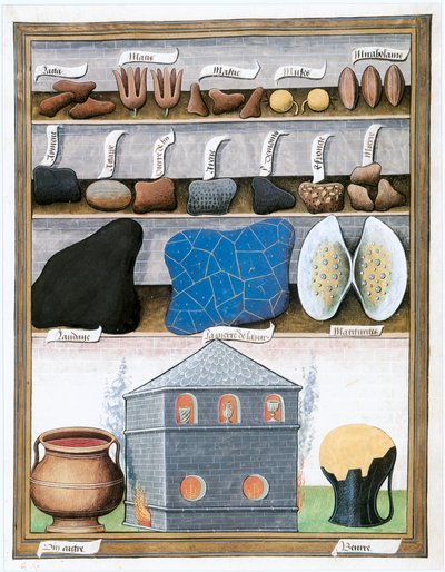 Le Livre des Simples Medecines, fine XV, inizio XVI (pergamena) da Matthaeus Platearius