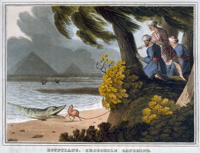 Egiziani che catturano coccodrilli da Matthew Dubourg