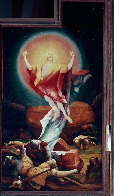 Pala d
