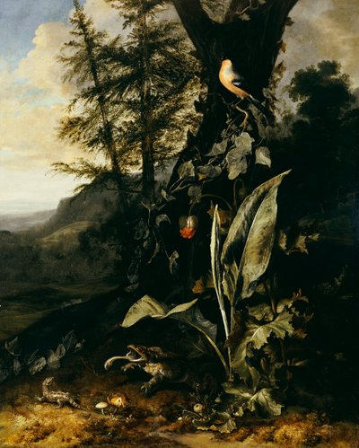 Un pavimento di foresta con un rospo e una lucertola, un ciuffolotto su un ramo di edera sopra, e una montagna oltre da Matthias Withoos