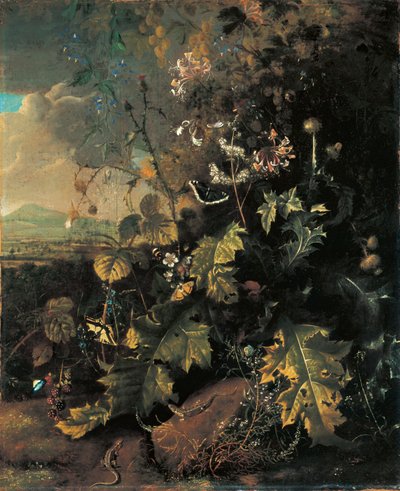 Pavimento della foresta con farfalle e lucertole da Matthias Withoos