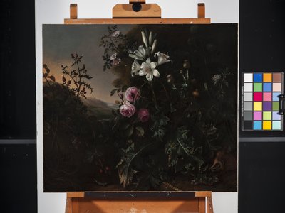 Natura morta da Matthias Withoos
