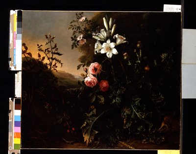 Natura morta, c.1670 da Matthias Withoos