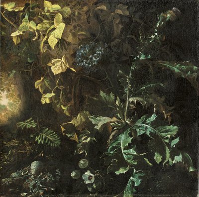 Cardi e altre piante su un pavimento forestale, un paesaggio oltre, frammento da Matthias Withoos