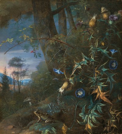 Natura morta sul pavimento della foresta con una rana e un fungo, montagne oltre da Matthias Withoos