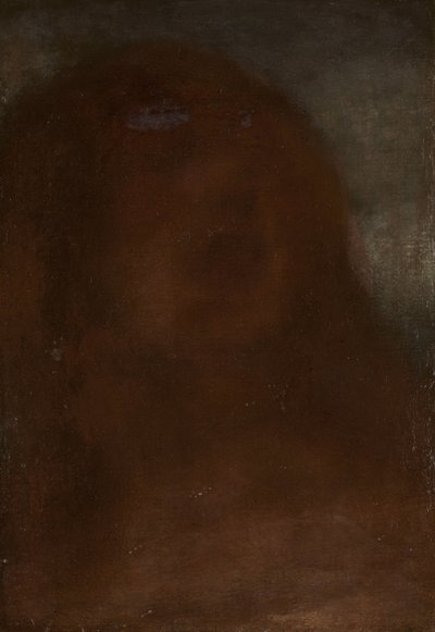 Testa di una Donna, chiamata 