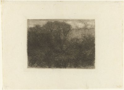 Stagno nel bosco da Matthijs Maris