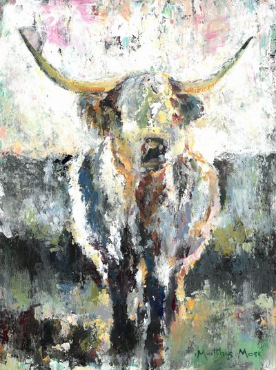 Mucca delle Highlands con mantello a trama da Matthys Moss