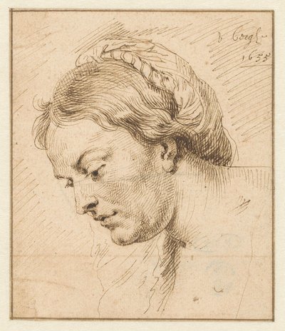 Testa di donna da Matthys van den Bergh