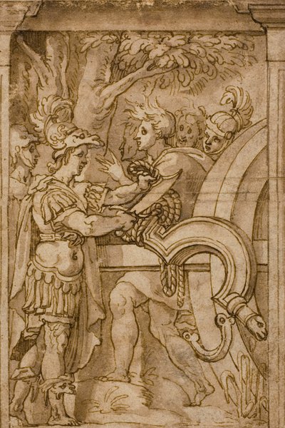 Alessandro taglia il nodo gordiano da Maturino da Firenze