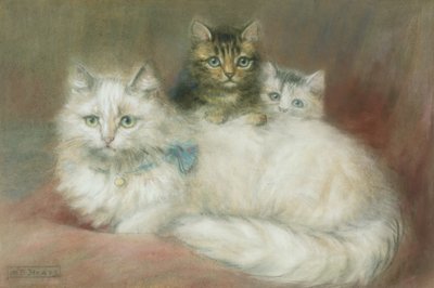 Un Gatto Persiano e i suoi Gattini da Maud D. Heaps
