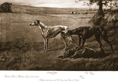 I cani del Duca di Leeds, 1911 da Maud Earl