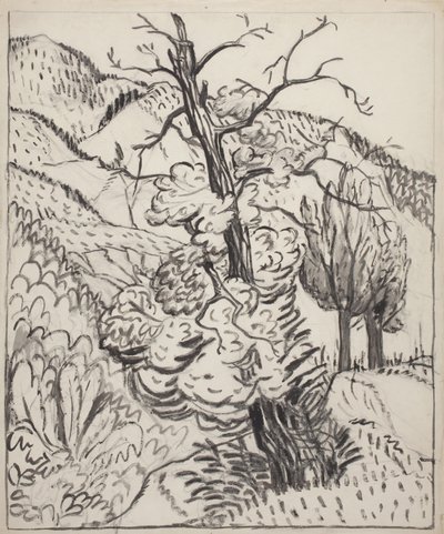 Albero sul pendio di una montagna, 1930 circa (pennello, inchiostro e carboncino su carta bianca vergata) da Maud Hunt Squire