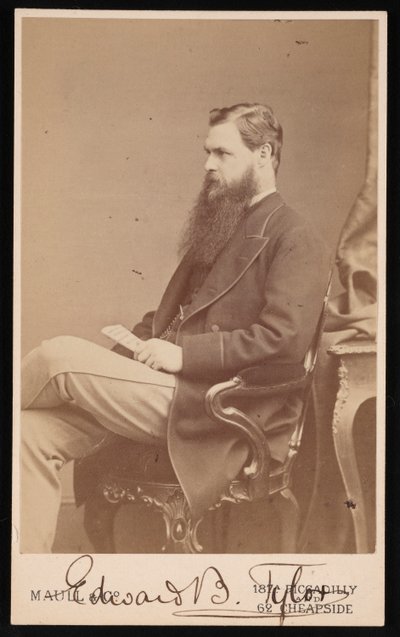 Ritratto di Edward Burnett Tylor da Maull and Co